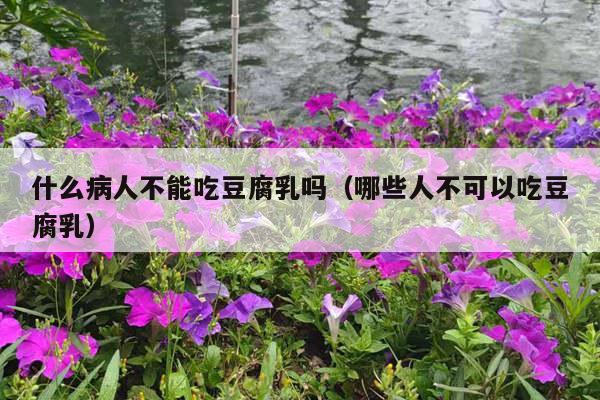 什么病人不能吃豆腐乳吗（哪些人不可以吃豆腐乳）