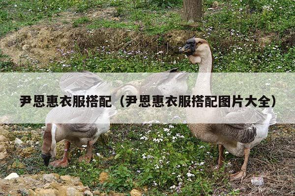 尹恩惠衣服搭配（尹恩惠衣服搭配图片大全）
