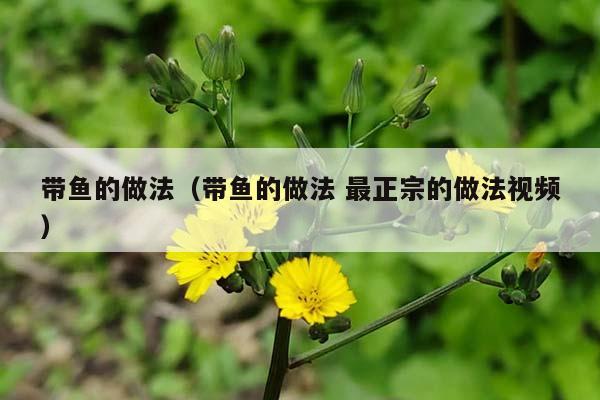 带鱼的做法（带鱼的做法 最正宗的做法视频）