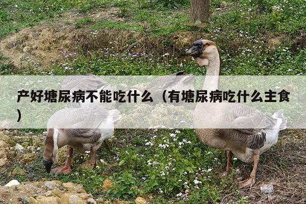 产好塘尿病不能吃什么（有塘尿病吃什么主食）