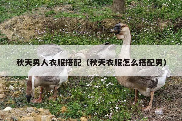 秋天男人衣服搭配（秋天衣服怎么搭配男）