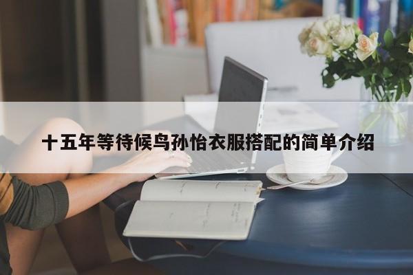 十五年等待候鸟孙怡衣服搭配的简单介绍