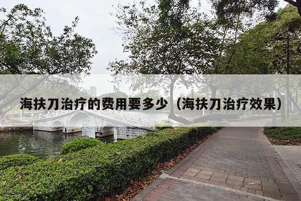 海扶刀治疗的费用要多少（海扶刀治疗效果）