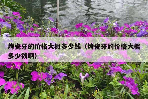 烤瓷牙的价格大概多少钱（烤瓷牙的价格大概多少钱啊）