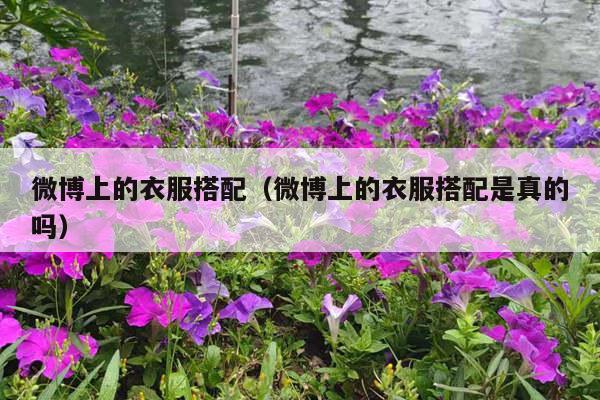 微博上的衣服搭配（微博上的衣服搭配是真的吗）