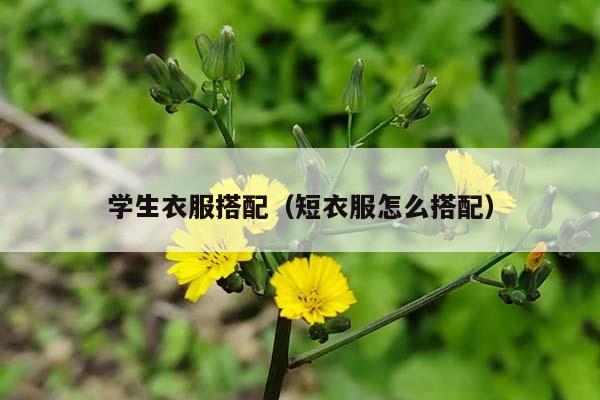学生衣服搭配（短衣服怎么搭配）