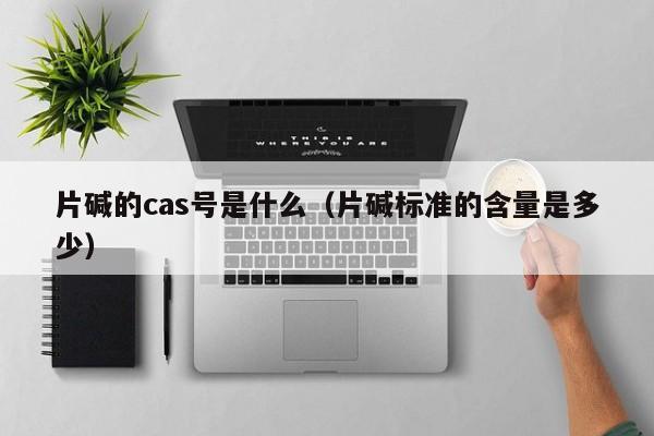 片碱的cas号是什么（片碱标准的含量是多少）