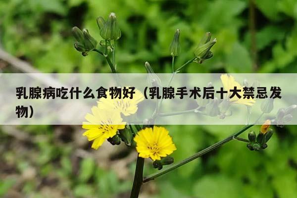 乳腺病吃什么食物好（乳腺手术后十大禁忌发物）