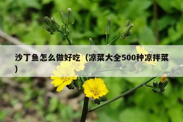 沙丁鱼怎么做好吃（凉菜大全500种凉拌菜）