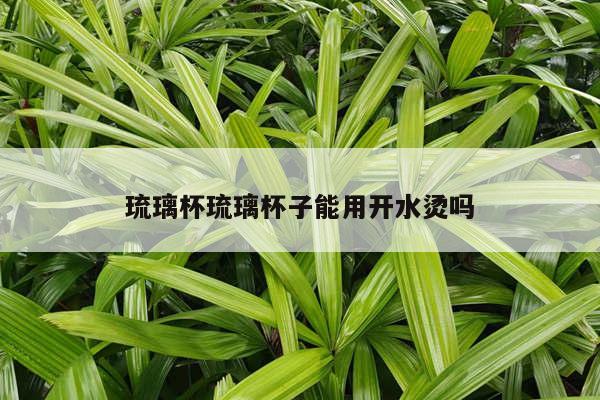 琉璃杯琉璃杯子能用开水烫吗