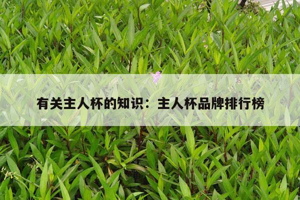 有关主人杯的知识：主人杯品牌排行榜