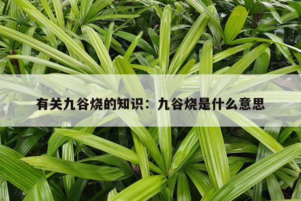 有关九谷烧的知识：九谷烧是什么意思