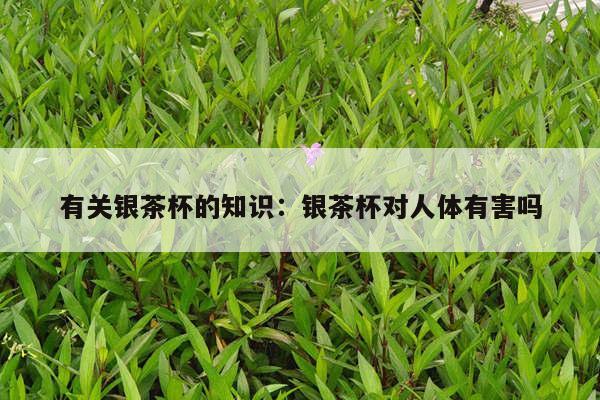 有关银茶杯的知识：银茶杯对人体有害吗