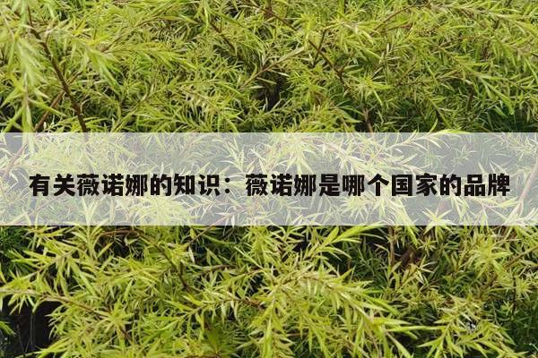 有关薇诺娜的知识：薇诺娜是哪个国家的品牌