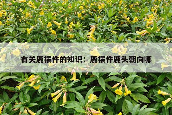 有关鹿摆件的知识：鹿摆件鹿头朝向哪