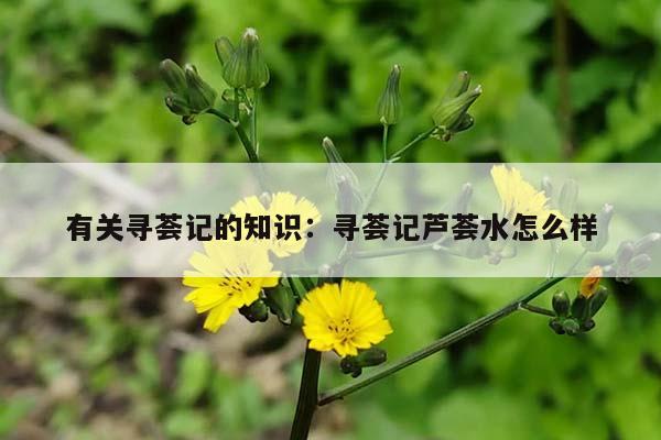 有关寻荟记的知识：寻荟记芦荟水怎么样