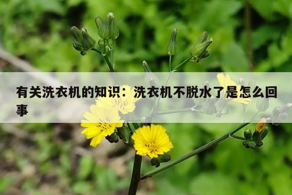 有关洗衣机的知识：洗衣机不脱水了是怎么回事