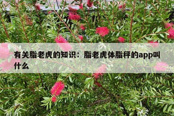 有关脂老虎的知识：脂老虎体脂秤的app叫什么