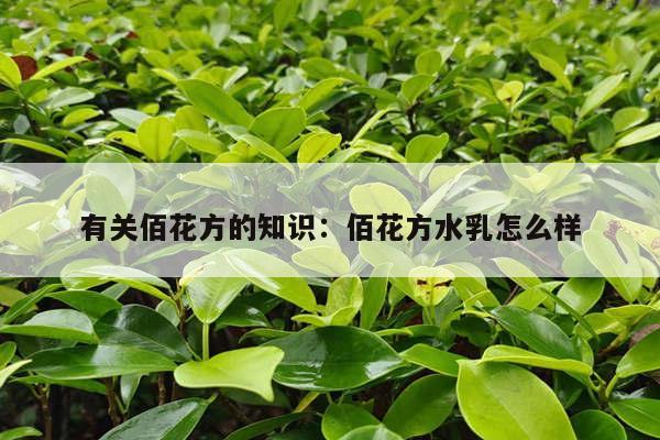 有关佰花方的知识：佰花方水乳怎么样