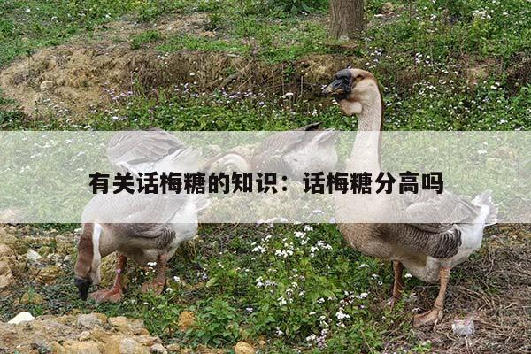 有关话梅糖的知识：话梅糖分高吗