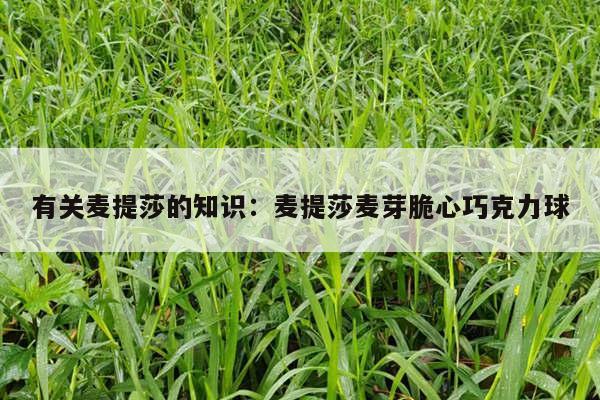 有关麦提莎的知识：麦提莎麦芽脆心巧克力球