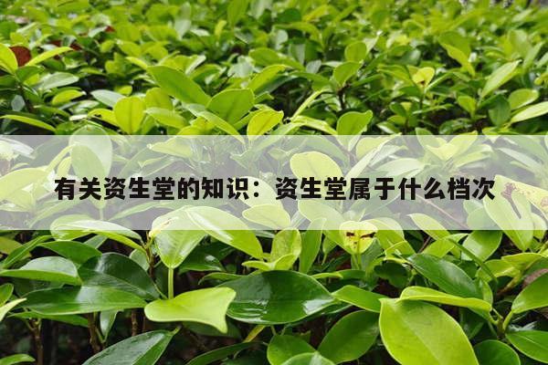 有关资生堂的知识：资生堂属于什么档次