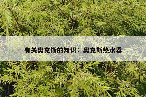 有关奥克斯的知识：奥克斯热水器
