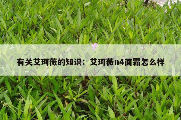 有关艾珂薇的知识：艾珂薇n4面霜怎么样