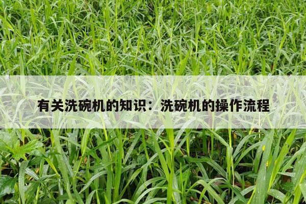 有关洗碗机的知识：洗碗机的操作流程