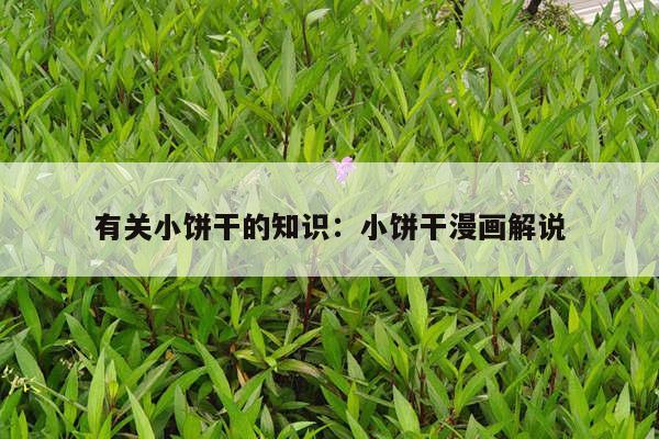 有关小饼干的知识：小饼干漫画解说