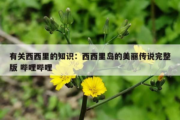 有关西西里的知识：西西里岛的美丽传说完整版 哔哩哔哩