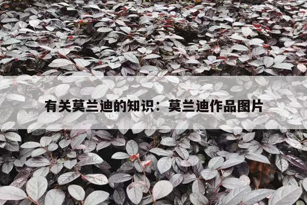 有关莫兰迪的知识：莫兰迪作品图片