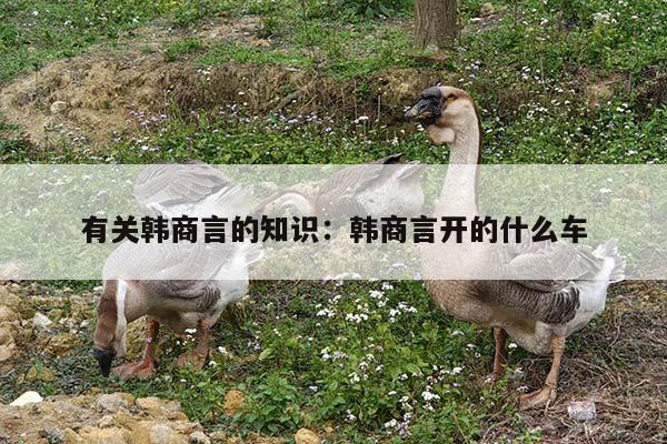 有关韩商言的知识：韩商言开的什么车