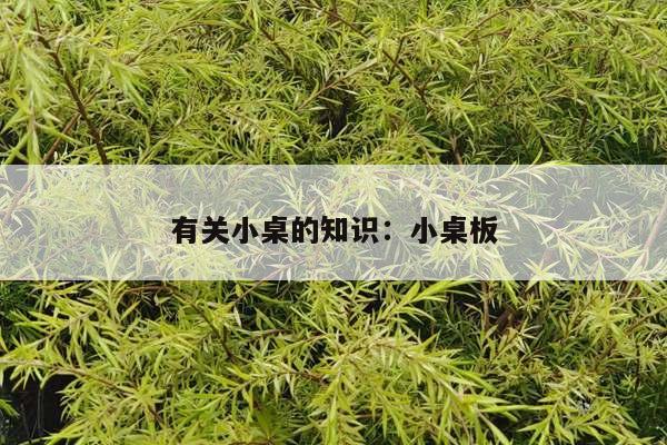 有关小桌的知识：小桌板