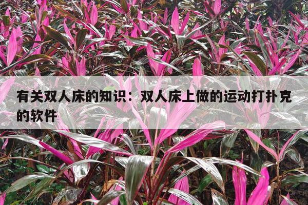 有关双人床的知识：双人床上做的运动打扑克的软件