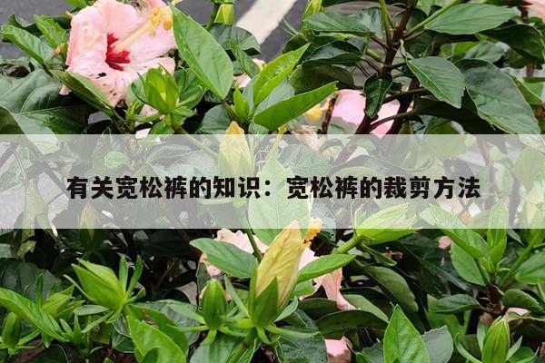 有关宽松裤的知识：宽松裤的裁剪方法