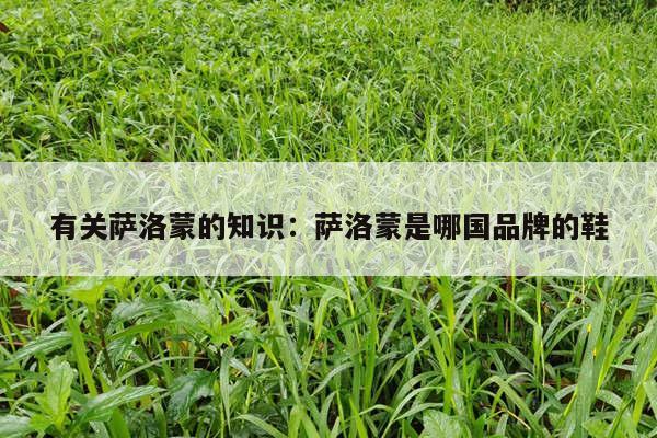 有关萨洛蒙的知识：萨洛蒙是哪国品牌的鞋
