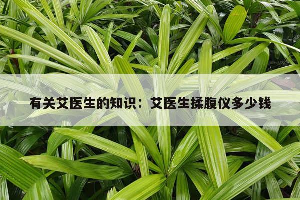 有关艾医生的知识：艾医生揉腹仪多少钱