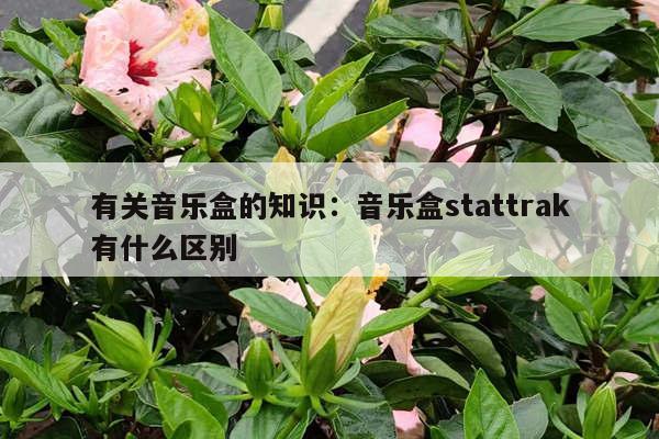 有关音乐盒的知识：音乐盒stattrak有什么区别
