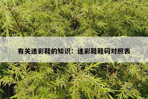 有关迷彩鞋的知识：迷彩鞋鞋码对照表