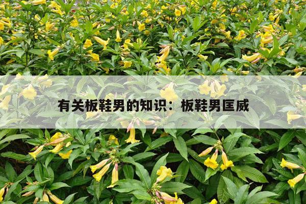 有关板鞋男的知识：板鞋男匡威