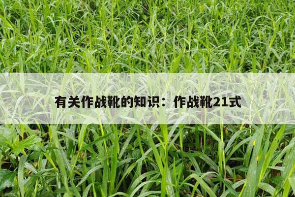 有关作战靴的知识：作战靴21式