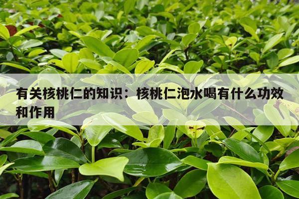 有关核桃仁的知识：核桃仁泡水喝有什么功效和作用