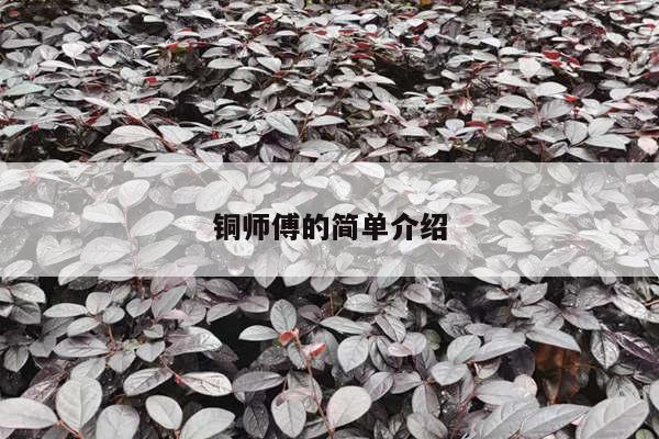 铜师傅的简单介绍