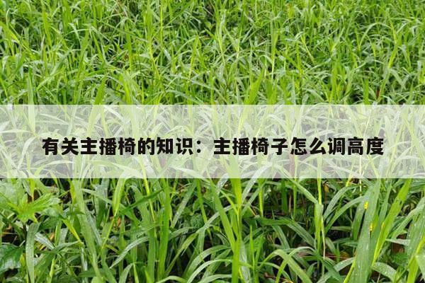 有关主播椅的知识:主播椅子怎么调高度