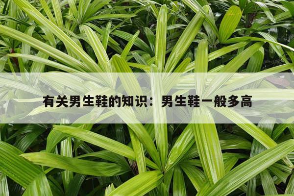 有关男生鞋的知识：男生鞋一般多高