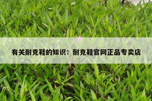 有关耐克鞋的知识：耐克鞋官网正品专卖店
