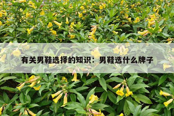 有关男鞋选择的知识：男鞋选什么牌子