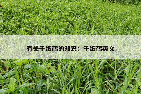 有关千纸鹤的知识：千纸鹤英文
