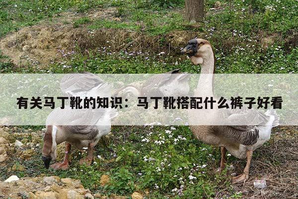 有关马丁靴的知识：马丁靴搭配什么裤子好看